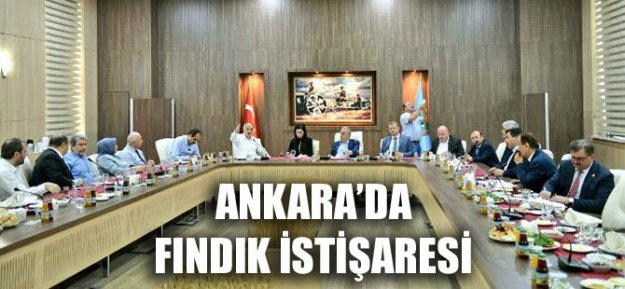 Ankara'da Fındık İstişaresi