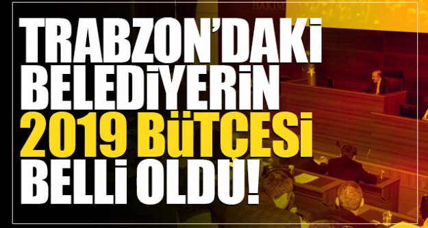 Araklı Belediyesi'nin bütçesi belli oldu