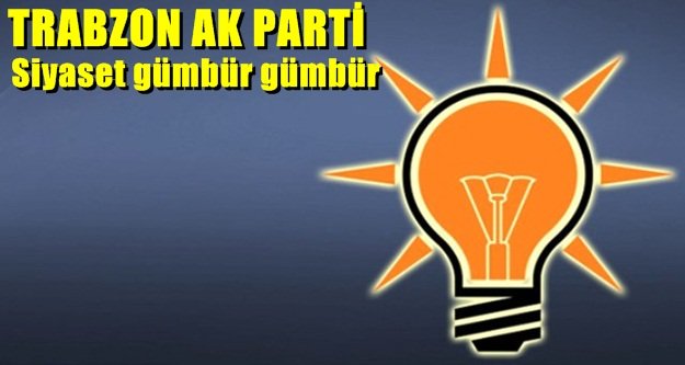 Siyaset gümbür gümbür